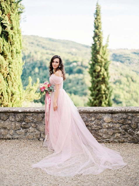 Свадебное платье Rose David Austin. Силуэт А-силуэт. Цвет Голубой / Синий, Пепельный / Металлик, оттенки Розового. Вид 2