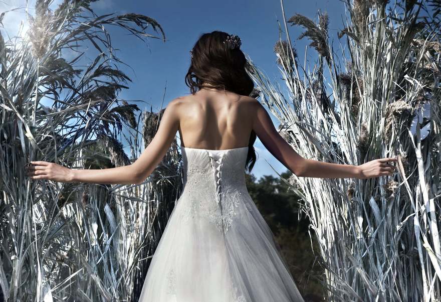 Свадебное платье Djudi. Силуэт А-силуэт. Цвет Белый / Молочный. Вид 3