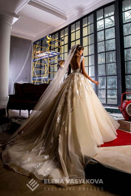 Свадебное платье Dakota. Силуэт Пышное. Цвет Айвори / Капучино, Персик / Оранжевый. Вид 2