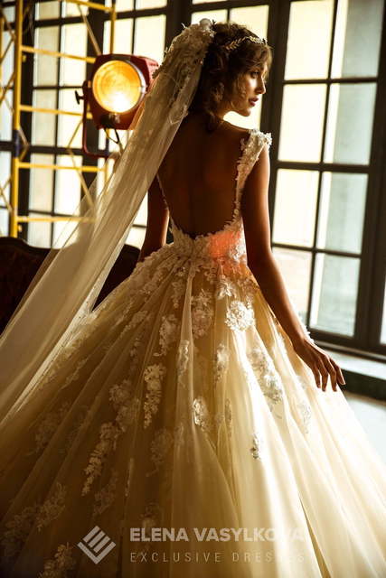 Свадебное платье Dakota. Силуэт Пышное. Цвет Айвори / Капучино, Персик / Оранжевый. Вид 3