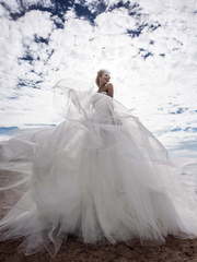 Свадебное платье Mary Celeste. Силуэт Пышное. Цвет Белый / Молочный. Вид 2