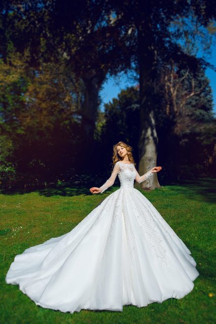 Свадебное платье Lily. Силуэт Пышное. Цвет Белый / Молочный. Вид 3