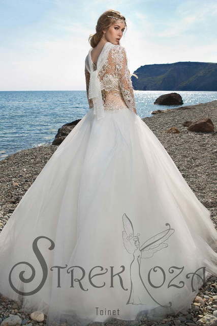 Свадебное платье Тоинет. Силуэт Пышное. Цвет Айвори / Капучино, Белый / Молочный. Вид 2