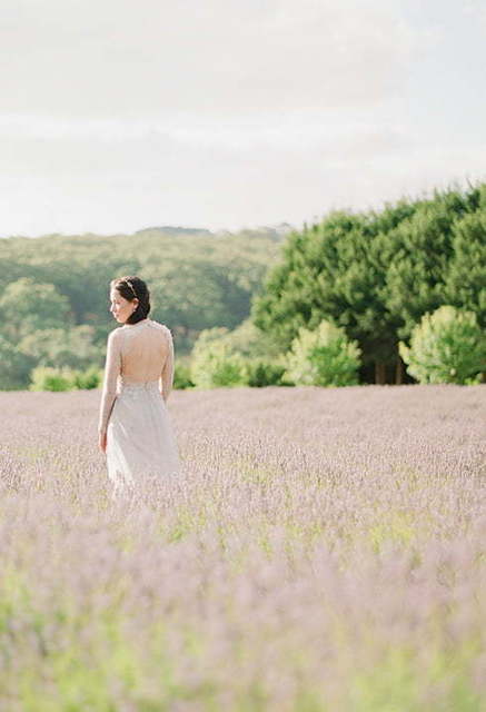 Свадебное платье Eleftheria. Силуэт Прямое. Цвет Пепельный / Металлик. Вид 5