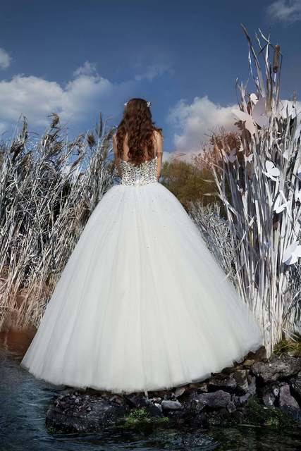 Свадебное платье Darsi. Силуэт Пышное. Цвет Белый / Молочный, Пепельный / Металлик. Вид 2