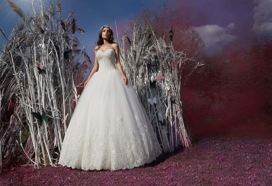 Свадебное платье Lalli. Силуэт Пышное. Цвет Белый / Молочный. Вид 5