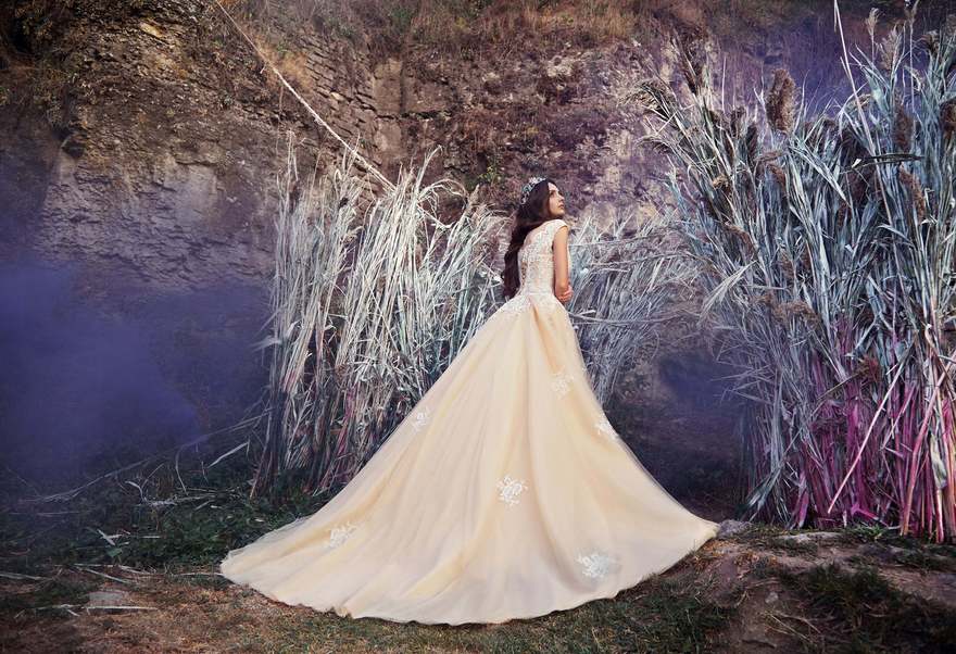 Свадебное платье Morin. Силуэт Пышное. Цвет Айвори / Капучино, Персик / Оранжевый. Вид 2