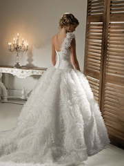 Свадебное платье Jasmin. Силуэт Пышное. Цвет Белый / Молочный. Вид 2