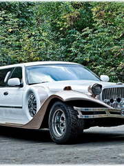 Экскалибур Гляссе до 10 чел., 2009 г. от Limo City 1