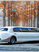 Экскалибур Гляссе до 10 чел., 2009 г. от Limo City 3