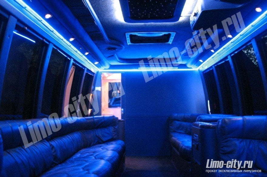 Форд Лимобас до 20 чел., 2013 г. от Limo City 2