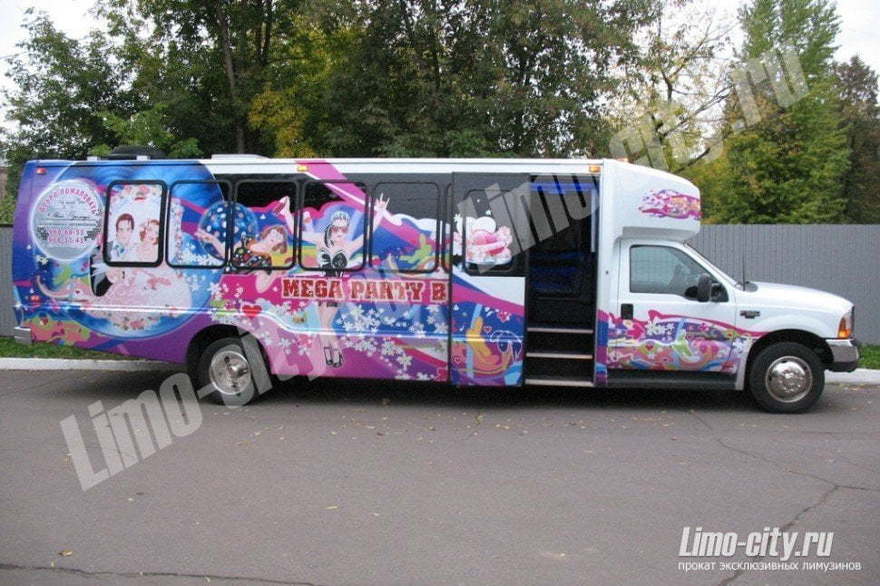 Форд Лимобас до 20 чел., 2013 г. от Limo City 8