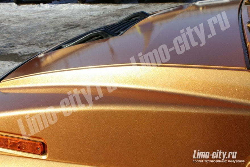 Хаммер Золото до 25 чел., 2012 г. от Limo City 6