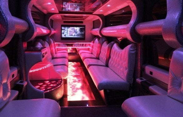 Фиолетовый лимузин в полный рост до 28 чел. от ЛимоФаворит 2