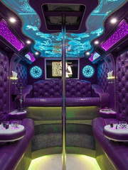 ПатиБас до 36 чел. от ЛимоФаворит 2