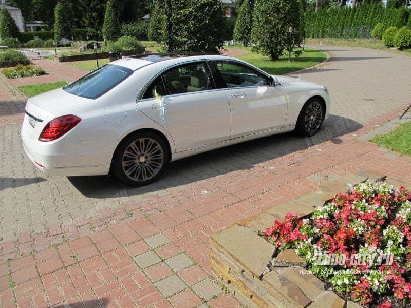 Mercedes-Benz S-Класс W222 до 3 чел., 2016 г. от Limo City 6
