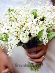 Классический вытянутый, Раскидистый / Растрёпыш name от Green Buket 1