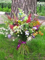 Раскидистый / Растрёпыш name от Студия декора и флористики Der Garten 1