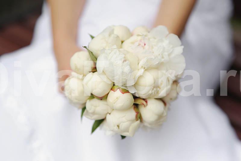 Монобукет из одного вида цветов, Классический круглый name от Цветочный магазин Дива Флора 2