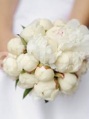 Классический круглый, Монобукет из одного вида цветов name от Цветочный магазин Дива Флора 2