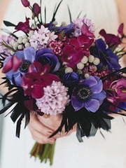 Классический круглый, Раскидистый / Растрёпыш name от VIP-букет - Позитивная Флористика 1