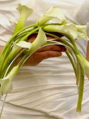 Монобукет из одного вида цветов, Необычный name от VIP-букет - Позитивная Флористика 1