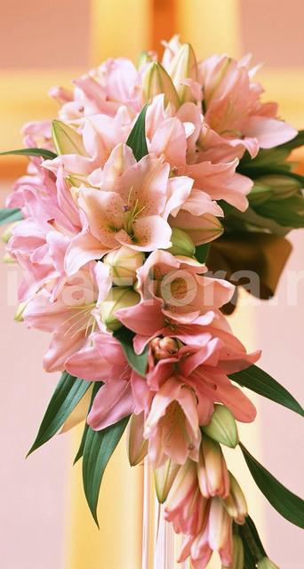 Монобукет из одного вида цветов, Каскадный name от Цветочный магазин Дива Флора 1