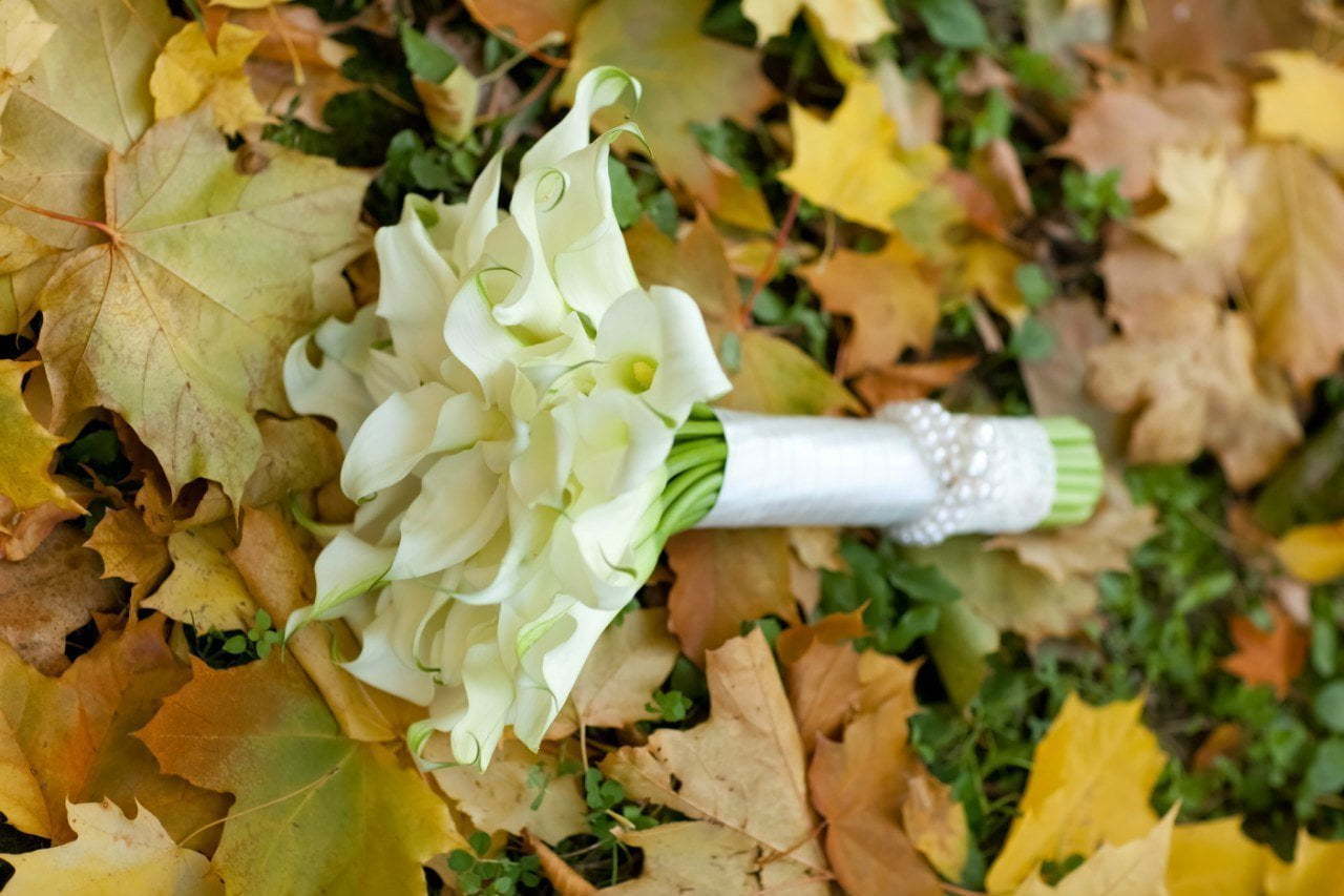 Купить Букет невесты из белых калл от компании 2 Florista в Москве ...
