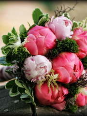 Классический круглый, Монобукет из одного вида цветов name от Студия декора и флористики Цветочных Дел МАСТЕР 1