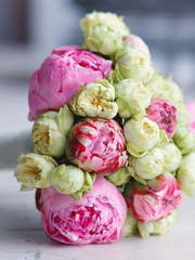 Классический круглый, Монобукет из одного вида цветов, Классический вытянутый name от Мастерская флористики и декора Fun-Fun Тюльпан 1