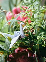 Раскидистый / Растрёпыш name от Мастерская флористики и декора Fun-Fun Тюльпан 2