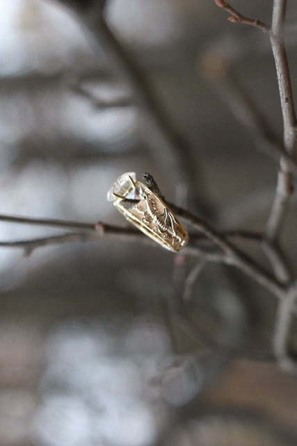 Помолвочное кольцо Драконы из Желтое золото от Ювелирный салон Jewellery Art 4