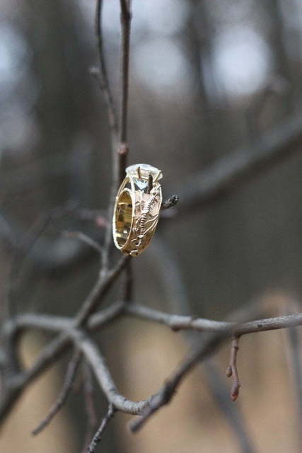 Помолвочное кольцо Драконы из Желтое золото от Ювелирный салон Jewellery Art 5