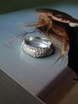 Помолвочное кольцо Гора света из Серебро от Ювелирный салон Jewellery Art 4