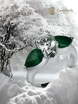 Помолвочное кольцо Горный Эдельвейс из Белое золото от Ювелирный салон Эталон 1