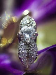 Эксклюзивные серьги EX0015 из Желтое золото от Ювелирный Дом Версаль 1